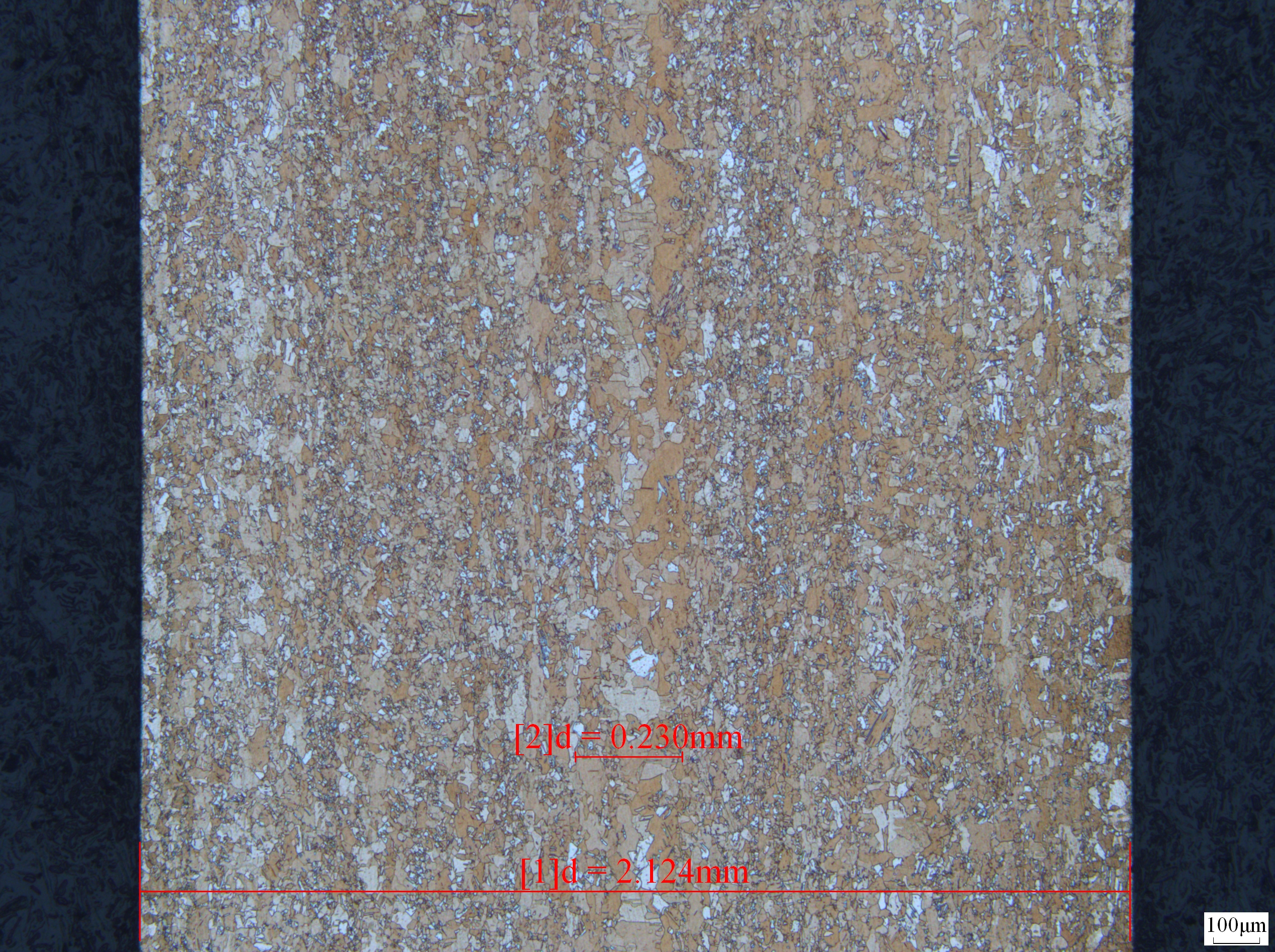 双重晶粒50x2.JPG