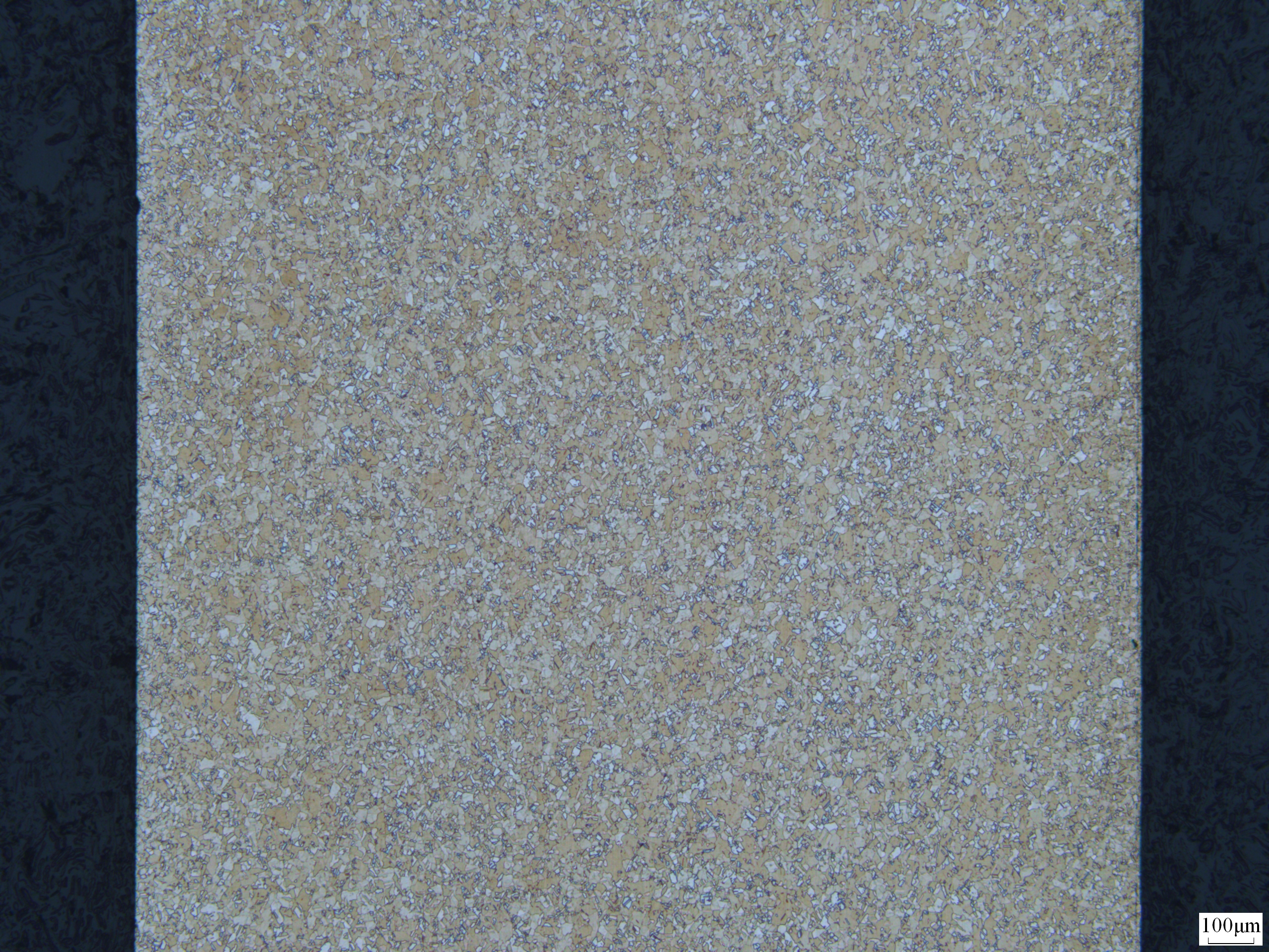 优良纵截面50x4.JPG