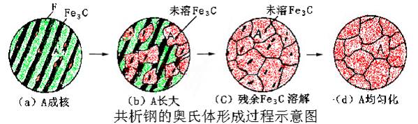 奥氏体化进程.jpg