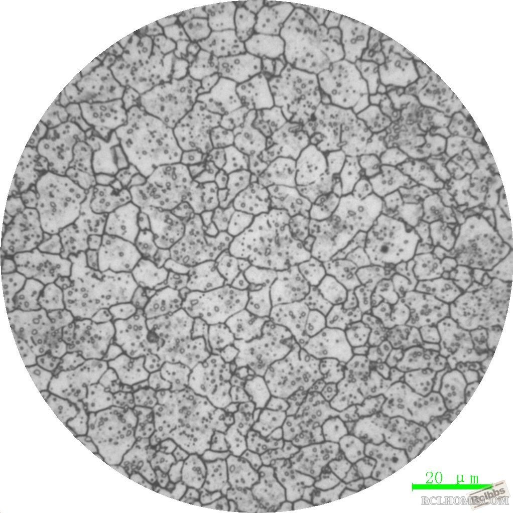 钢球晶粒度500X.JPG