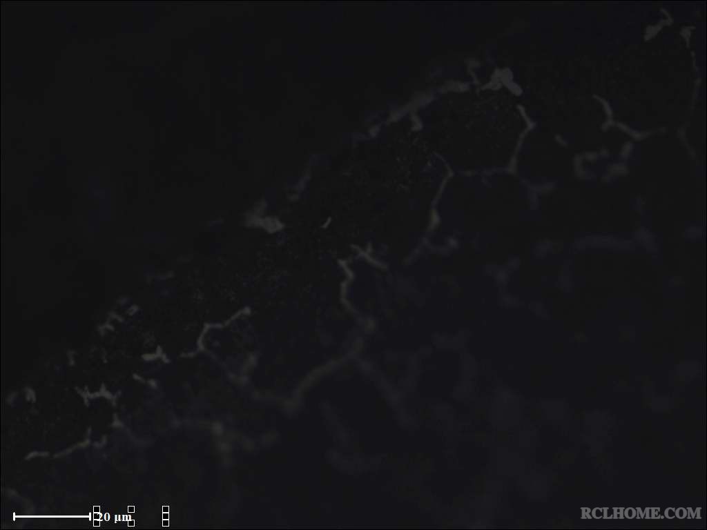 18045齿轮R角边缘2处-500X.jpg