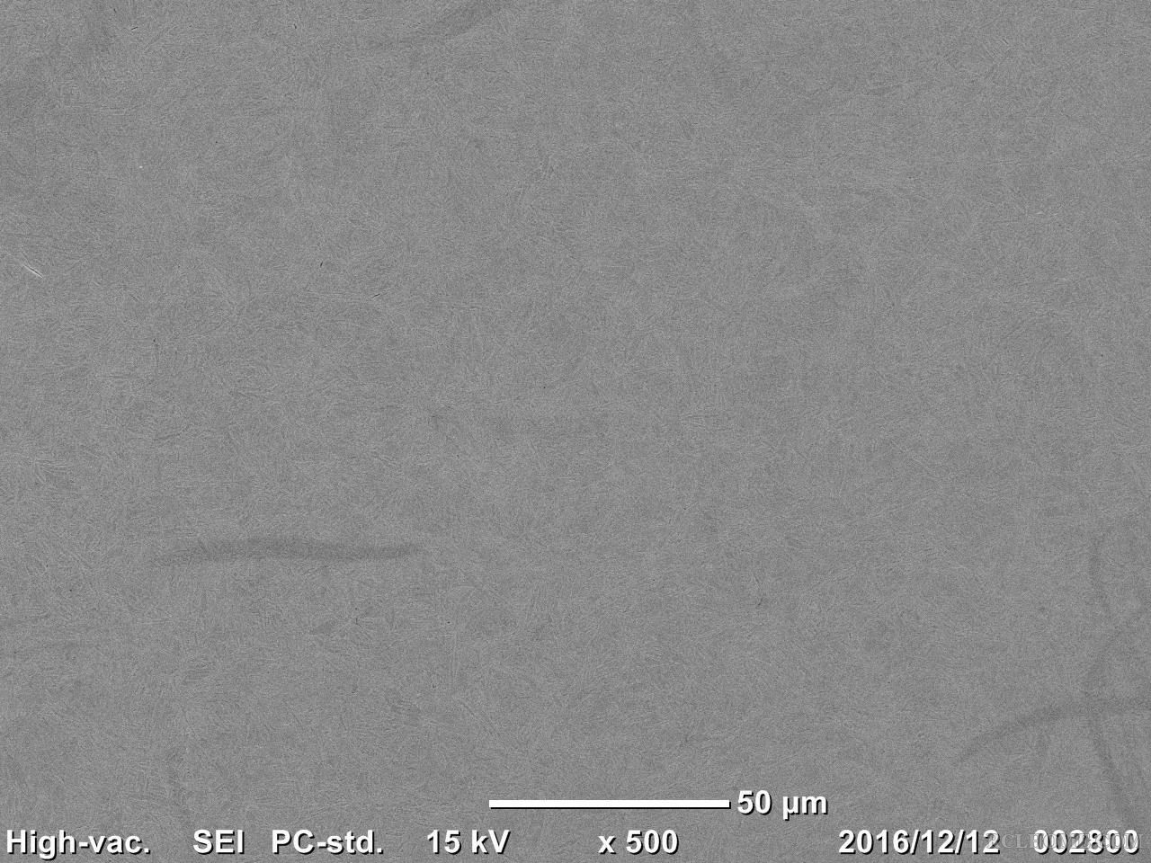 15KV 500×（50μ）.jpg