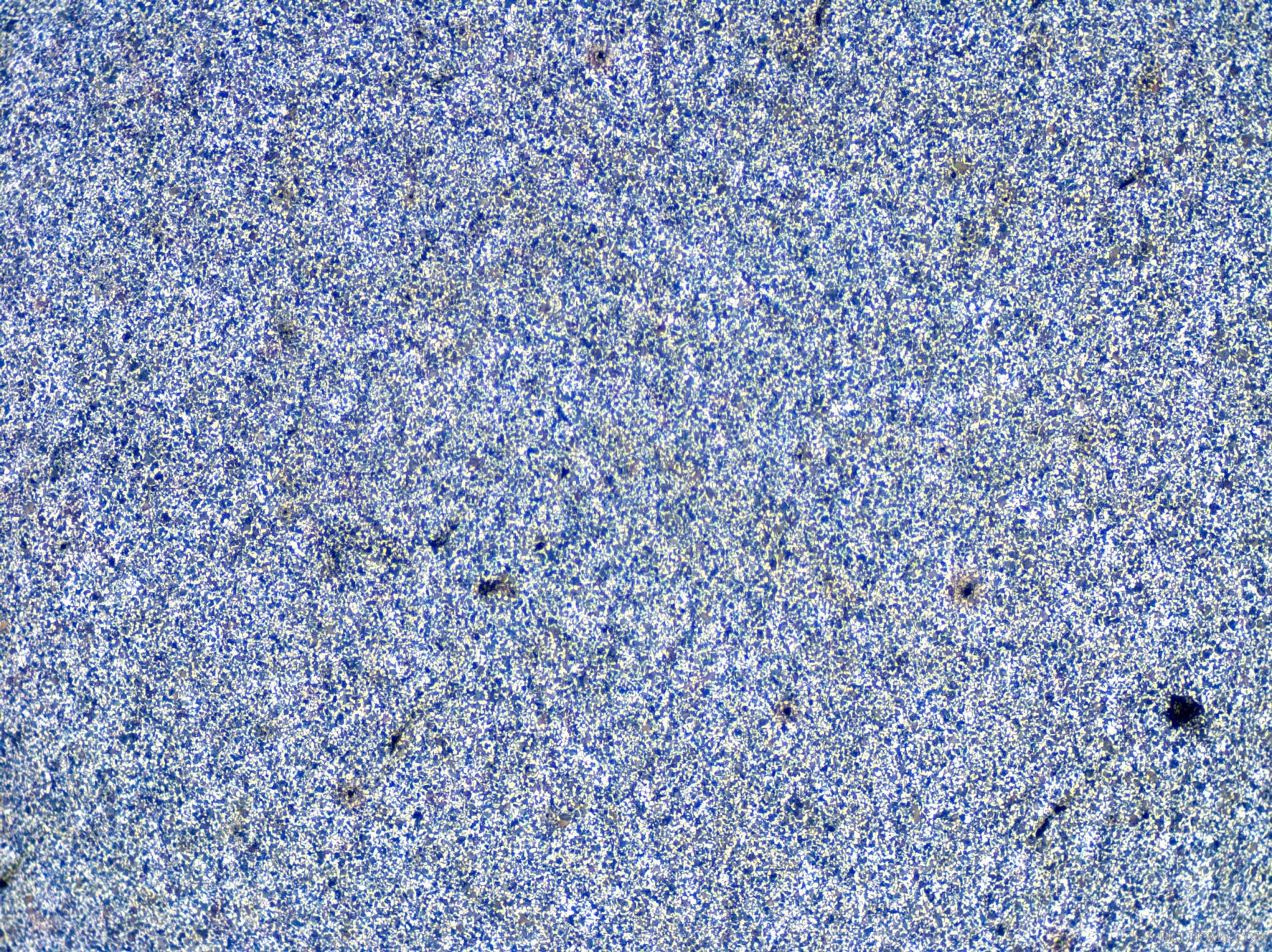 锻件　１００Ｘ.jpg
