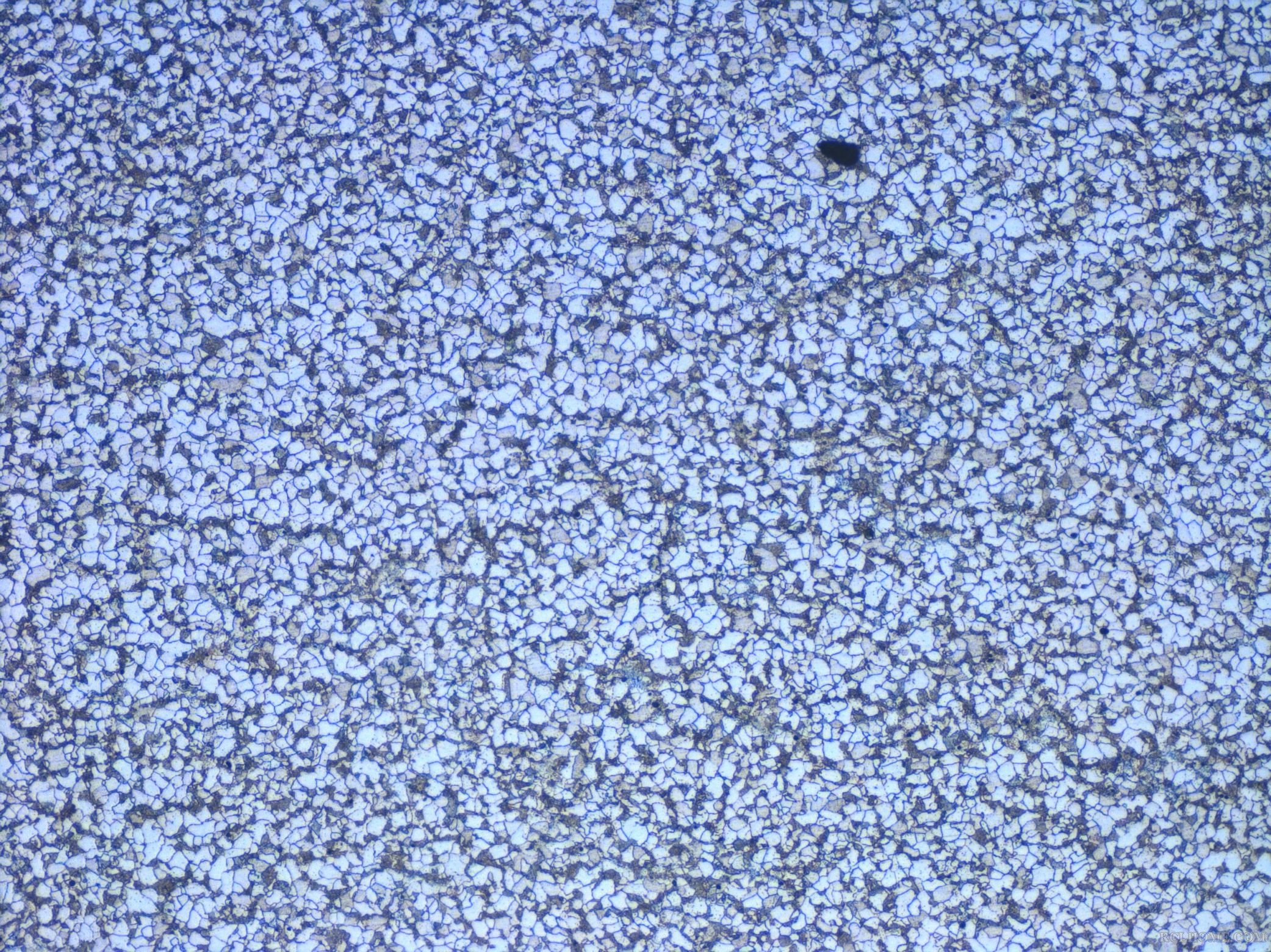 18CD4 球化退火 100X.jpg