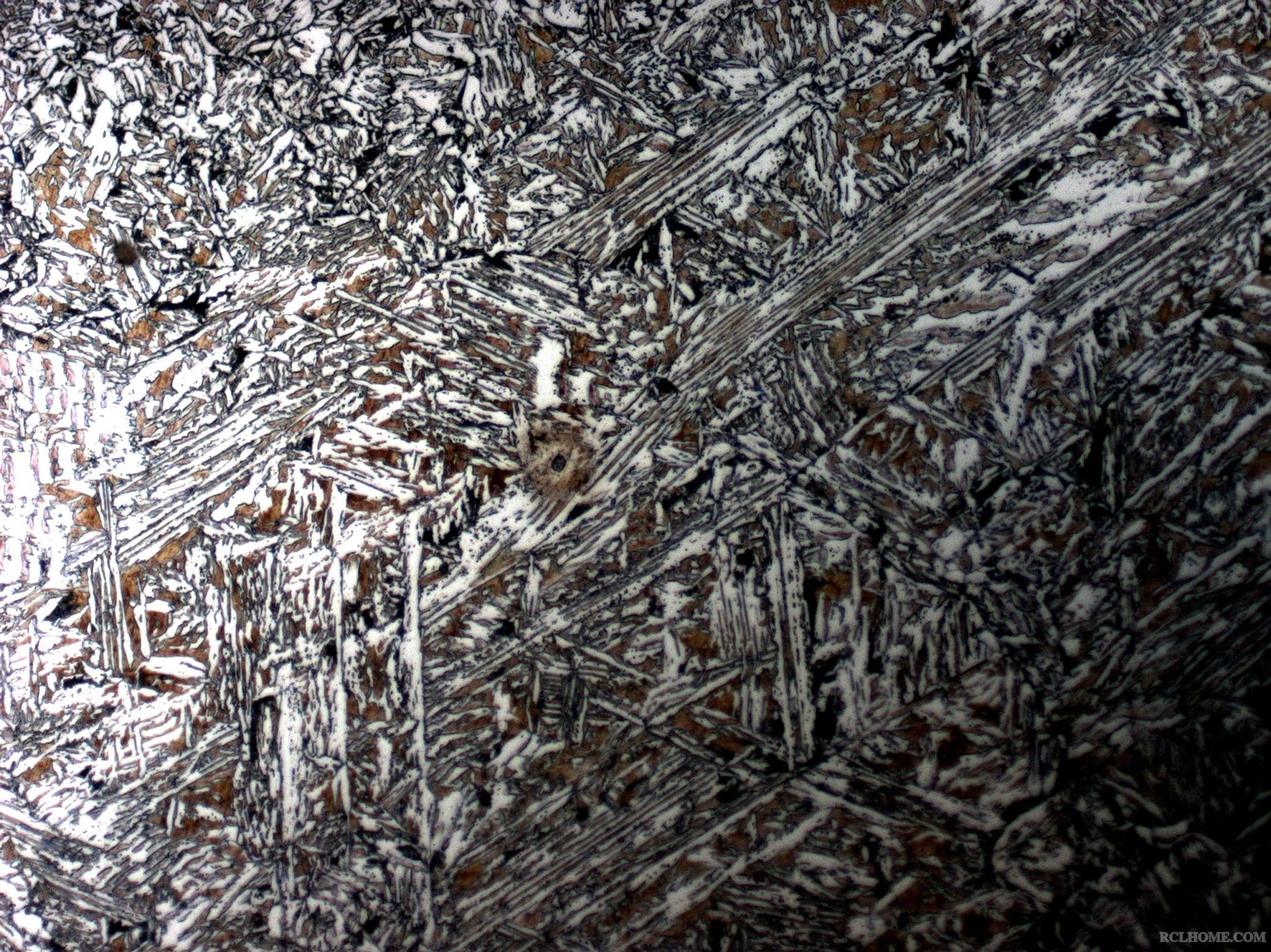 1-500X-2.jpg