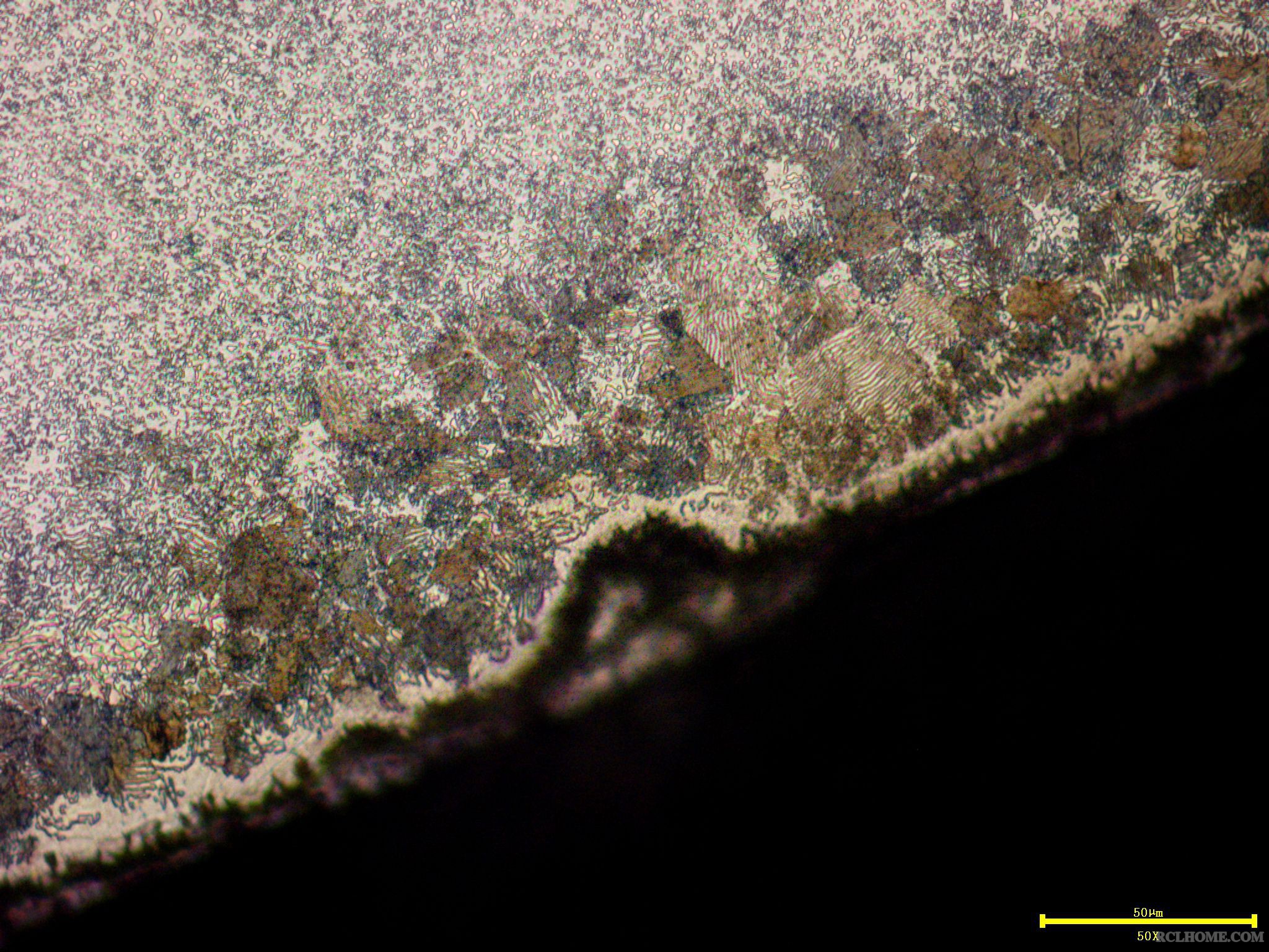 Y6A01100-2.jpg