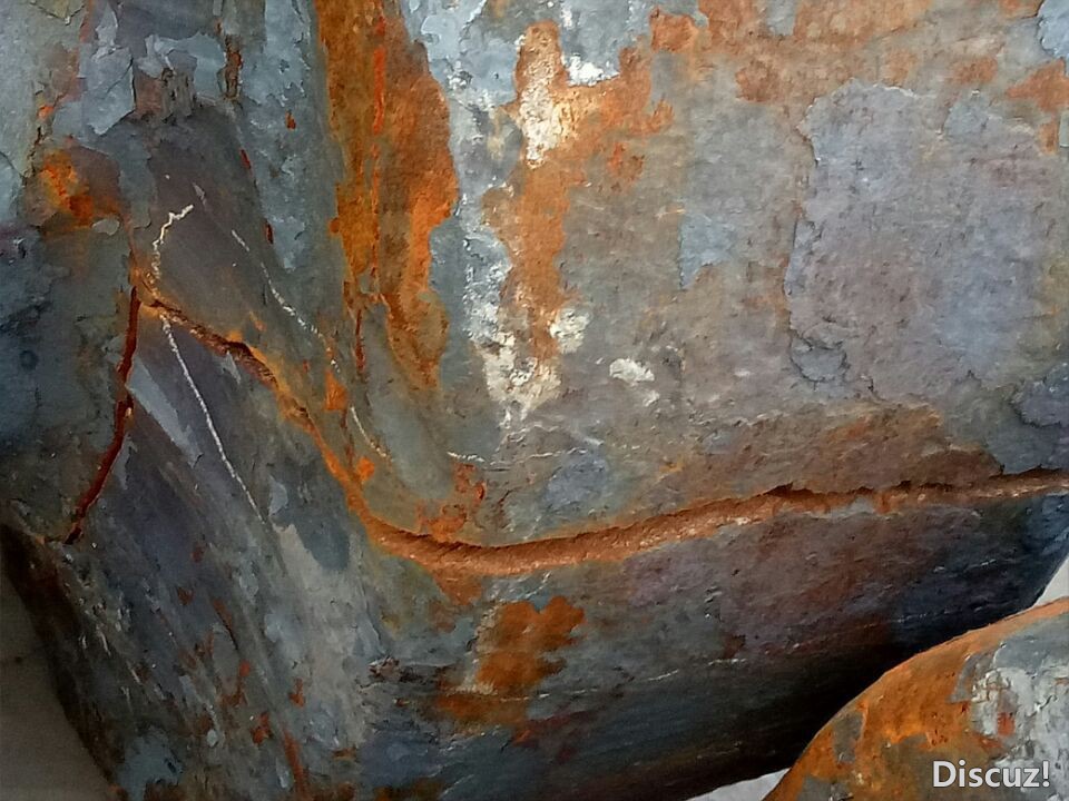 342F09A8F87912454C748A157CCFD84E.jpg