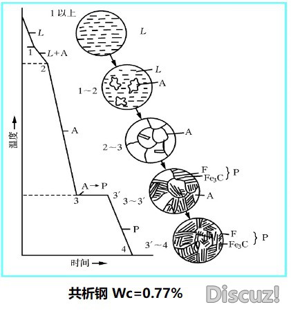 共析钢.jpg