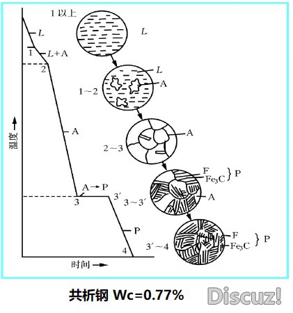 共析钢.jpg